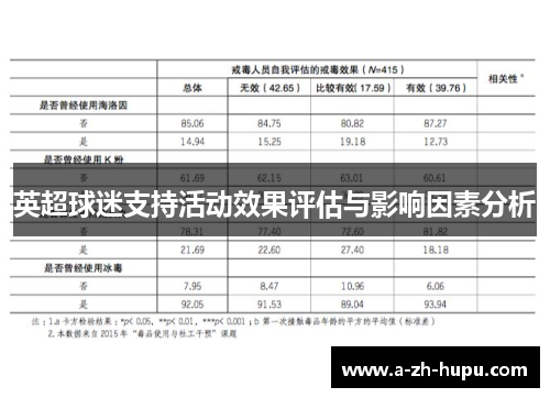 英超球迷支持活动效果评估与影响因素分析