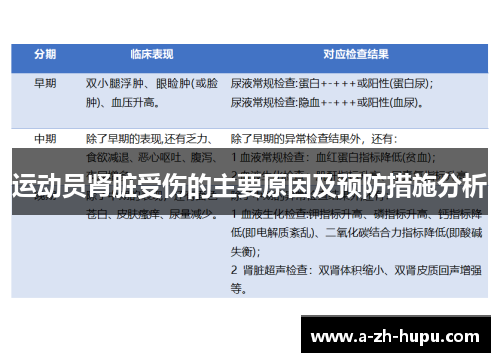 运动员肾脏受伤的主要原因及预防措施分析