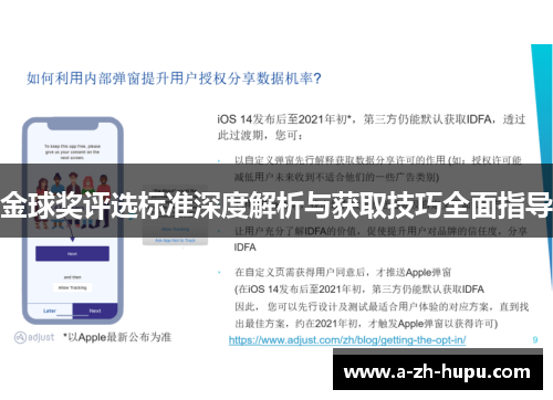 金球奖评选标准深度解析与获取技巧全面指导