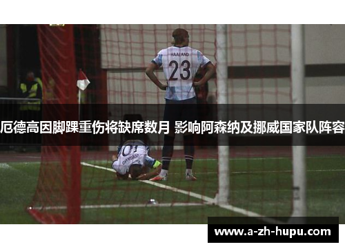 厄德高因脚踝重伤将缺席数月 影响阿森纳及挪威国家队阵容 厄德高因脚踝重伤将缺席数月 影响阿森纳及挪威国家队阵容