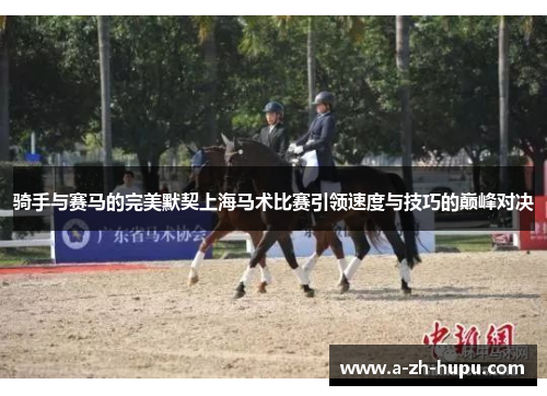 骑手与赛马的完美默契上海马术比赛引领速度与技巧的巅峰对决