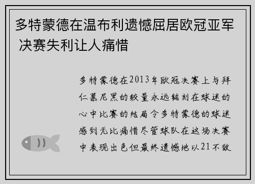 多特蒙德在温布利遗憾屈居欧冠亚军 决赛失利让人痛惜 多特蒙德在温布利遗憾屈居欧冠亚军 决赛失利让人痛惜