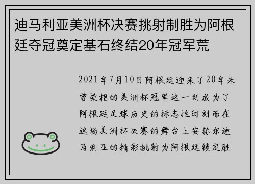 迪马利亚美洲杯决赛挑射制胜为阿根廷夺冠奠定基石终结20年冠军荒