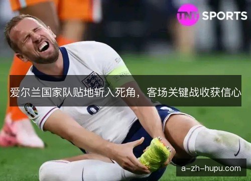 爱尔兰国家队贴地斩入死角，客场关键战收获信心